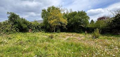 Terrain et maison à Cuincy en Nord (59) de 93 m² à vendre au prix de 213000€ - 3