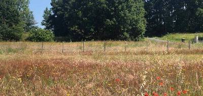 Terrain et maison à Villeperdue en Indre-et-Loire (37) de 78 m² à vendre au prix de 216457€ - 4