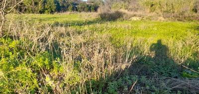 Terrain à Ollioules en Var (83) de 750 m² à vendre au prix de 295000€ - 2