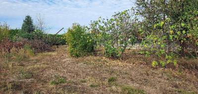 Terrain à Pamiers en Ariège (09) de 755 m² à vendre au prix de 71000€ - 4