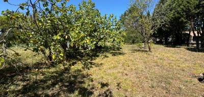 Terrain et maison à Villepinte en Aude (11) de 91 m² à vendre au prix de 180742€ - 4