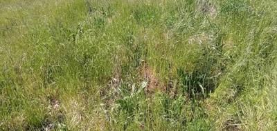 Terrain à Arès en Gironde (33) de 220 m² à vendre au prix de 150000€ - 2