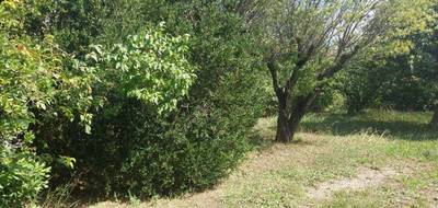 Terrain à Lorgues en Var (83) de 857 m² à vendre au prix de 235000€ - 1