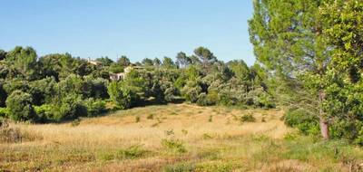 Terrain et maison à Carcès en Var (83) de 120 m² à vendre au prix de 557000€ - 4