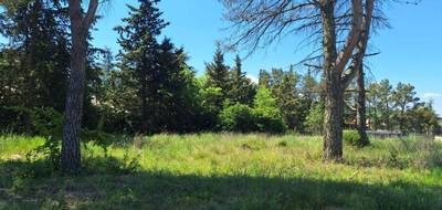 Terrain et maison à La Bastide-des-Jourdans en Vaucluse (84) de 100 m² à vendre au prix de 323000€ - 4