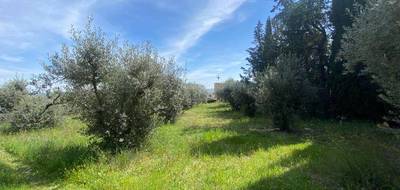 Terrain à Sainte-Tulle en Alpes-de-Haute-Provence (04) de 614 m² à vendre au prix de 150000€ - 2