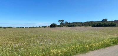 Terrain et maison à Bessan en Hérault (34) de 99 m² à vendre au prix de 336100€ - 4