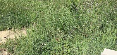 Terrain et maison à Sainte-Foy en Vendée (85) de 50 m² à vendre au prix de 233971€ - 3