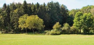 Terrain et maison à Bonneville-sur-Touques en Calvados (14) de 185 m² à vendre au prix de 699950€ - 4