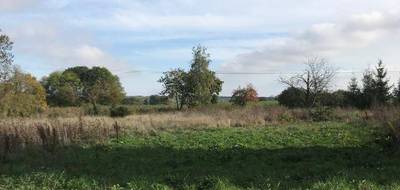 Terrain et maison à Marles-en-Brie en Seine-et-Marne (77) de 105 m² à vendre au prix de 359000€ - 3
