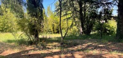 Terrain à Pélissanne en Bouches-du-Rhône (13) de 650 m² à vendre au prix de 275000€ - 1