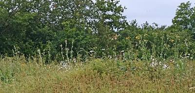 Terrain et maison à Puyravault en Vendée (85) de 110 m² à vendre au prix de 285601€ - 3