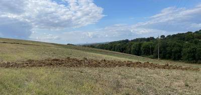 Terrain à Montfa en Tarn (81) de 1300 m² à vendre au prix de 65000€ - 1