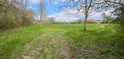 Terrain et maison à Grangues en Calvados (14) de 137 m² à vendre au prix de 406150€ - 4