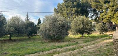 Terrain à Saint-Chamas en Bouches-du-Rhône (13) de 533 m² à vendre au prix de 239000€ - 3