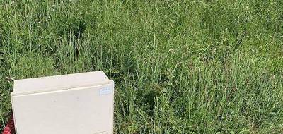 Terrain et maison à Bouguenais en Loire-Atlantique (44) de 90 m² à vendre au prix de 269591€ - 3