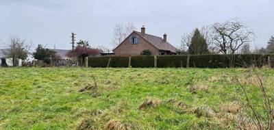 Terrain et maison à Roucourt en Nord (59) de 135 m² à vendre au prix de 309000€ - 4