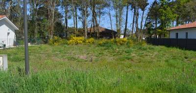 Terrain à Magescq en Landes (40) de 603 m² à vendre au prix de 130000€ - 3