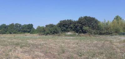 Terrain à Callian en Var (83) de 1240 m² à vendre au prix de 224000€ - 3