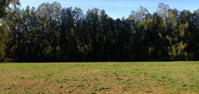 Terrain et maison à Mallemort en Bouches-du-Rhône (13) de 77 m² à vendre au prix de 305000€ - 4