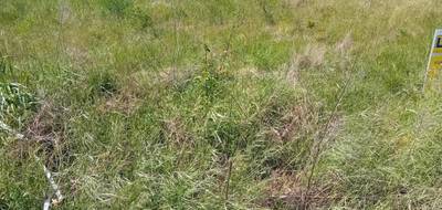 Terrain à Andernos-les-Bains en Gironde (33) de 525 m² à vendre au prix de 325900€ - 3