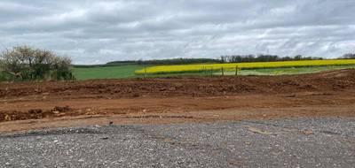 Terrain et maison à Ottange en Moselle (57) de 100 m² à vendre au prix de 372000€ - 3