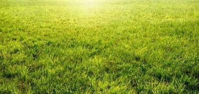 Terrain et maison à Mettray en Indre-et-Loire (37) de 85 m² à vendre au prix de 232100€ - 3