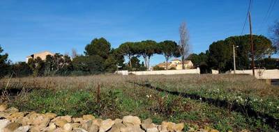 Terrain à Florensac en Hérault (34) de 530 m² à vendre au prix de 155000€ - 2