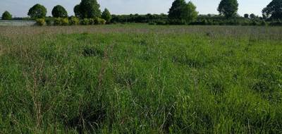Terrain à Moret-Loing-et-Orvanne en Seine-et-Marne (77) de 800 m² à vendre au prix de 80000€ - 1