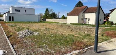 Terrain à Bantzenheim en Haut-Rhin (68) de 787 m² à vendre au prix de 204000€ - 3