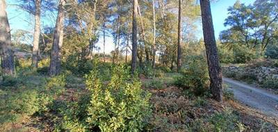 Terrain à Trans-en-Provence en Var (83) de 926 m² à vendre au prix de 189000€ - 4
