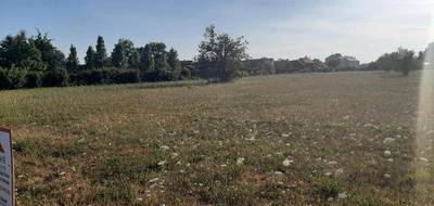 Terrain et maison à Roézé-sur-Sarthe en Sarthe (72) de 100 m² à vendre au prix de 245000€ - 3