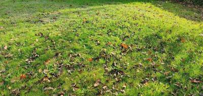 Terrain et maison à Divatte-sur-Loire en Loire-Atlantique (44) de 80 m² à vendre au prix de 269764€ - 4