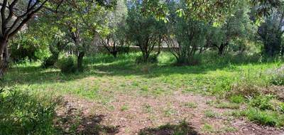 Terrain et maison à Cuers en Var (83) de 120 m² à vendre au prix de 449500€ - 4
