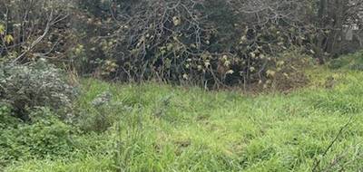 Terrain à La Penne-sur-Huveaune en Bouches-du-Rhône (13) de 550 m² à vendre au prix de 296000€ - 3