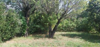 Terrain à Lorgues en Var (83) de 857 m² à vendre au prix de 235000€ - 3