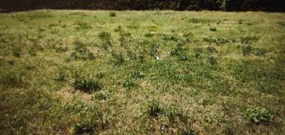 Terrain et maison à Sainte-Opportune-du-Bosc en Eure (27) de 114 m² à vendre au prix de 212659€ - 3