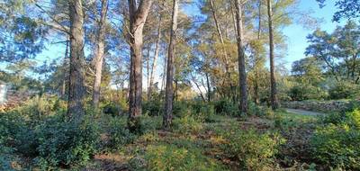 Terrain à Trans-en-Provence en Var (83) de 926 m² à vendre au prix de 189000€ - 1