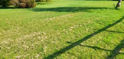 Terrain et maison à Oradour-sur-Glane en Haute-Vienne (87) de 93 m² à vendre au prix de 241000€ - 4
