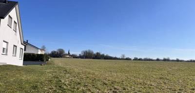 Terrain et maison à Peltre en Moselle (57) de 120 m² à vendre au prix de 439000€ - 3