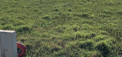 Terrain et maison à Les Moutiers-en-Retz en Loire-Atlantique (44) de 90 m² à vendre au prix de 362337€ - 4