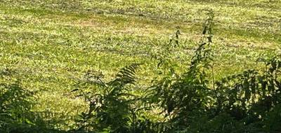 Terrain et maison à Saintes en Charente-Maritime (17) de 130 m² à vendre au prix de 431590€ - 4