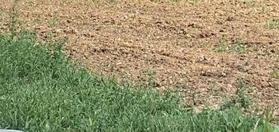 Terrain et maison à Chavagnes-en-Paillers en Vendée (85) de 125 m² à vendre au prix de 281406€ - 4