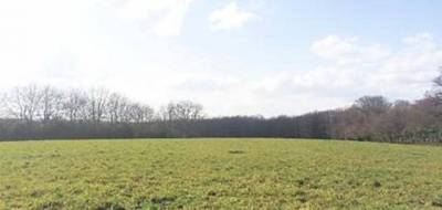 Terrain et maison à Villiers-au-Bouin en Indre-et-Loire (37) de 80 m² à vendre au prix de 200000€ - 3