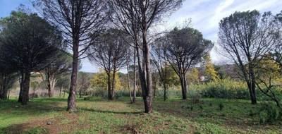 Terrain à Grimaud en Var (83) de 1405 m² à vendre au prix de 659000€ - 3