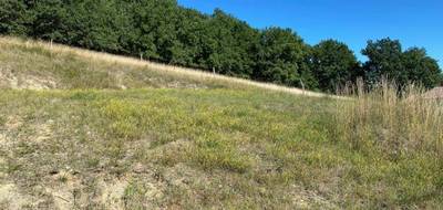 Terrain à Belmont-Bretenoux en Lot (46) de 1000 m² à vendre au prix de 24000€ - 2