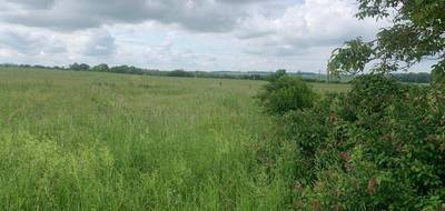 Terrain à Distroff en Moselle (57) de 459 m² à vendre au prix de 134000€ - 4