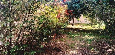 Terrain à Carnoules en Var (83) de 250 m² à vendre au prix de 89000€ - 3