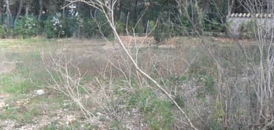 Terrain et maison à Saint-Clément-de-Rivière en Hérault (34) de 140 m² à vendre au prix de 765000€ - 4