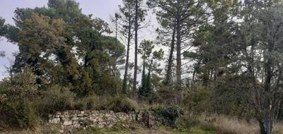 Terrain à Callian en Var (83) de 2300 m² à vendre au prix de 220000€ - 1